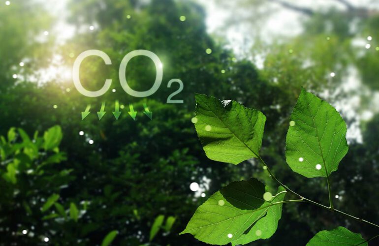 CO2 Kühlung